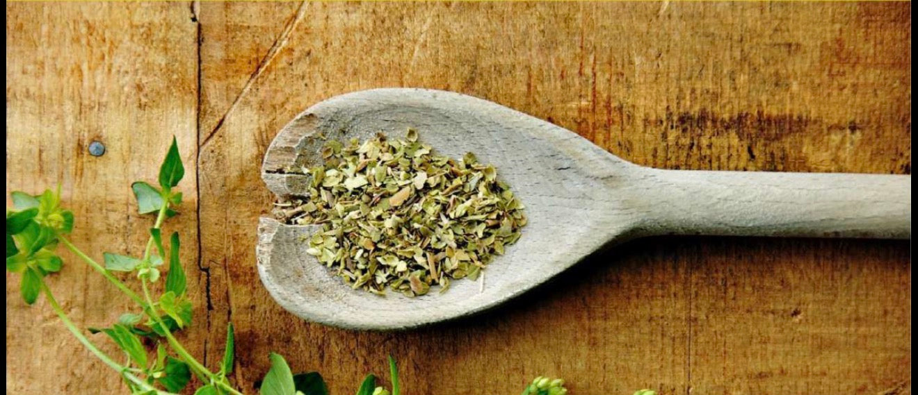 Dried oregano in a wooden spoon on a rustic wooden surface with fresh oregano sprigs nearby.